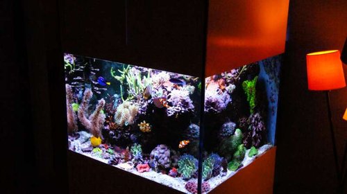 FTS