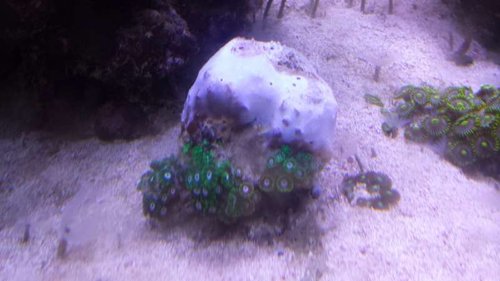 20151104_165245.jpg