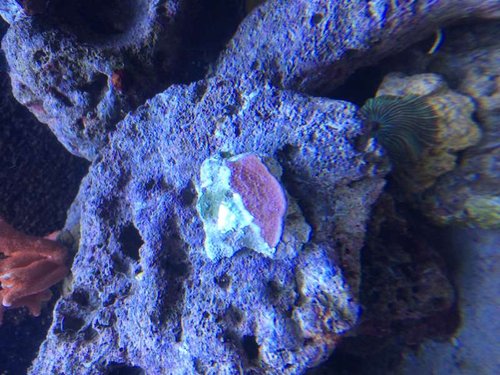 IMG_1176.JPG