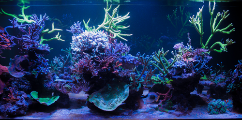 1.png (566.74 KiB) Vist 1461 gange 1.png