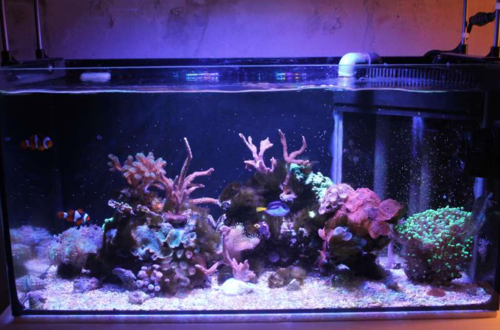 Skærmbillede 2015-11-05 kl. 19.49.25.png (723.48 KiB) Vist 1439 gange Skærmbillede 2015-11-05 kl. 19.49.25.png