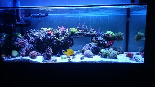 1446822627003586335084.jpg (41.78 KiB) Vist 1366 gange 1446822627003586335084.jpg