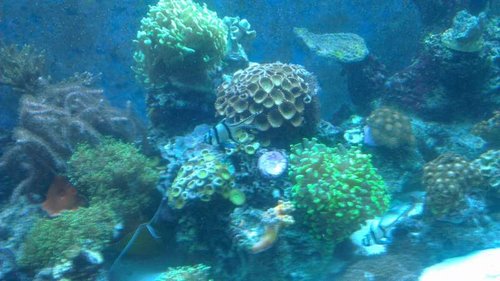 IMAG0521.jpg