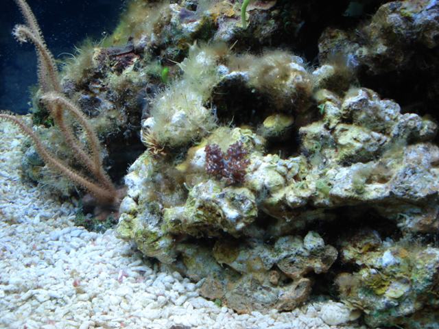 DSC00549(4).jpg