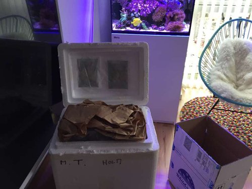 image.jpeg