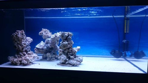 FTS