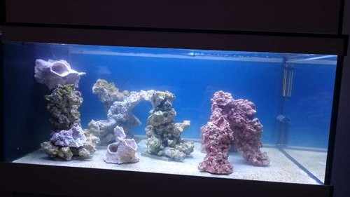 FTS