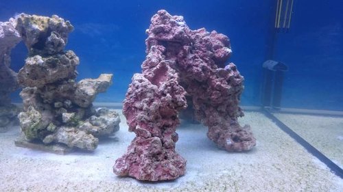 JJ reef-cave