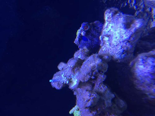 20151208_151438311_iOS.jpg
