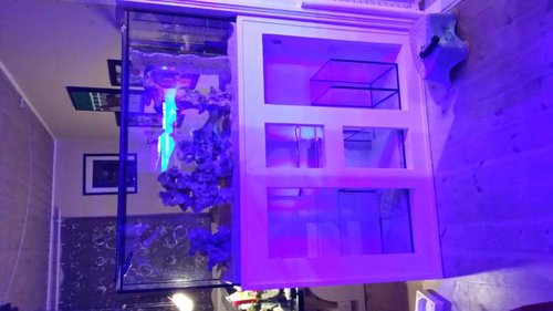 20151208_204726.jpg