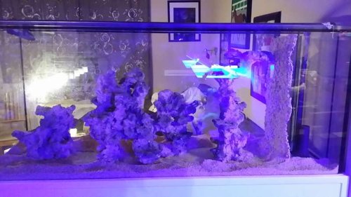 20151208_204735.jpg
