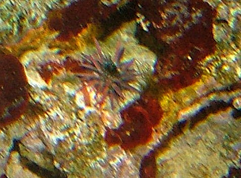 Image1.jpg