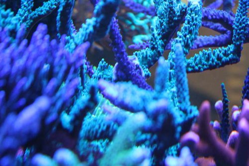 IMG_9748.JPG