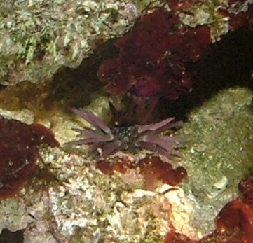 Image3.jpg