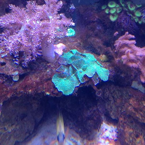 IMG_0450.JPG