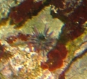 Image4.jpg