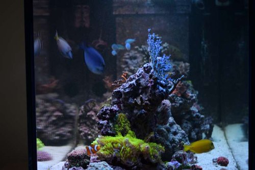 DSC_0064.JPG