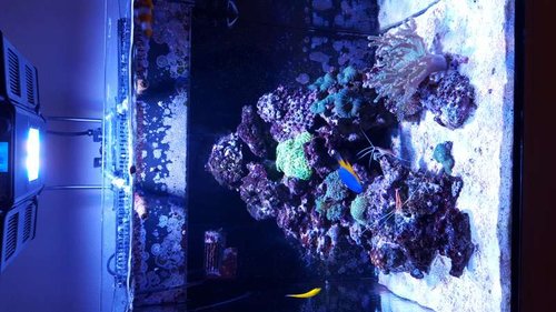 20151220_200955.jpg