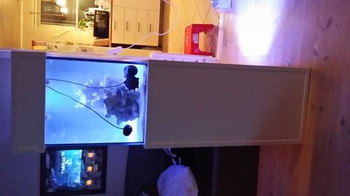 20151221_000905.jpg