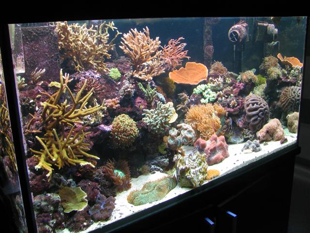 IMG_1918 (Small).JPG