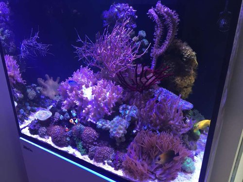 image.jpeg (60.54 KiB) Vist 1272 gange image.jpeg