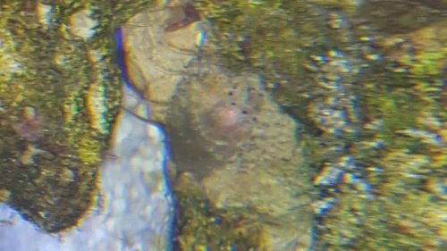 20151227_223953.jpg