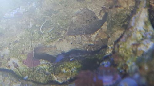 20151227_213738.jpg