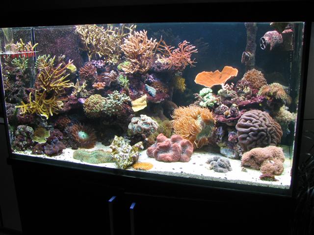 IMG_1916 (Small).JPG