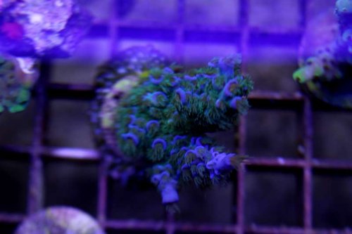 IMG_9844.JPG