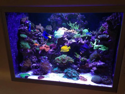 FTS
