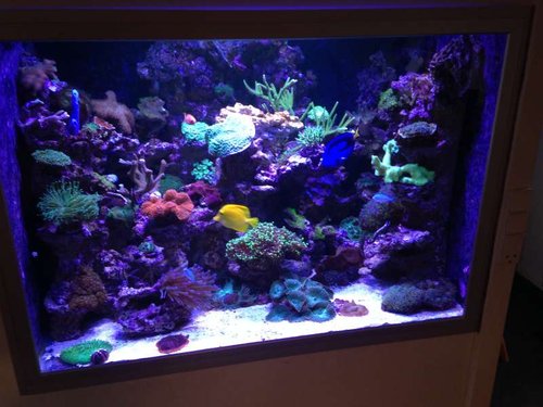 FTS
