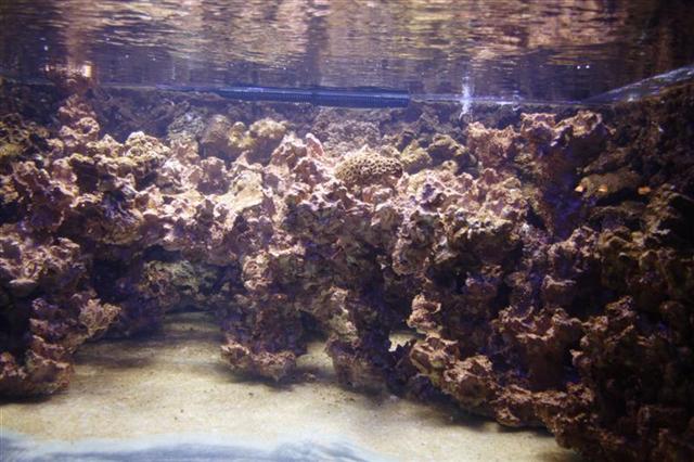_MG_2117 (Medium) (Medium) (Small).JPG