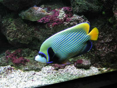 forum pic3.jpg
