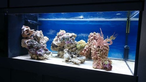 9.JPG (38.01 KiB) Vist 3164 gange FTS