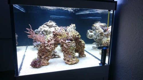 10.JPG (38.05 KiB) Vist 3165 gange Set fra siden