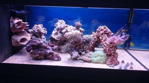 FTS