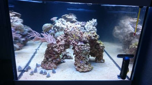 17.JPG (45.38 KiB) Vist 3166 gange Set fra siden