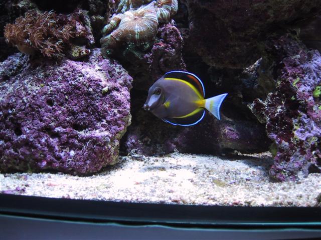 IMG_0227 (Small).JPG