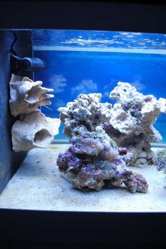 9.JPG (30.53 KiB) Vist 3164 gange Venstre side