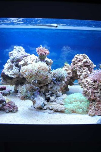 10.JPG (31.06 KiB) Vist 3180 gange Midten