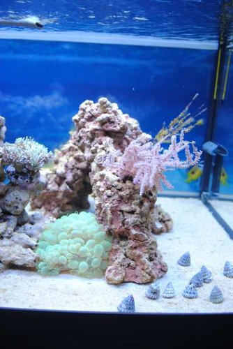 11.JPG (32.66 KiB) Vist 3268 gange Højre side