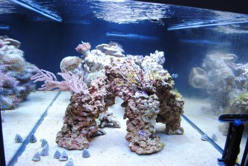 12.JPG (63.58 KiB) Vist 3179 gange Set fra siden