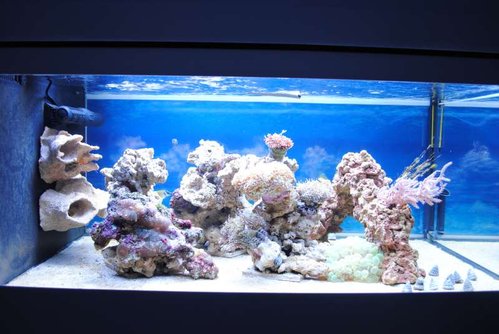 19.JPG (51.64 KiB) Vist 3281 gange FTS