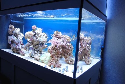 FTS