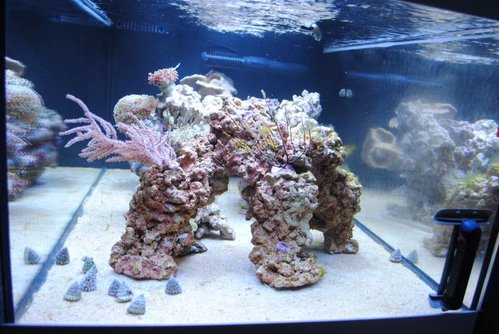 21.JPG (60.92 KiB) Vist 3180 gange Set fra siden