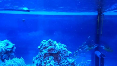 1.JPG (28 KiB) Vist 3268 gange Rejeunger