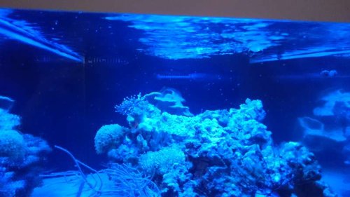 2.JPG (36.29 KiB) Vist 3281 gange Rejeunger