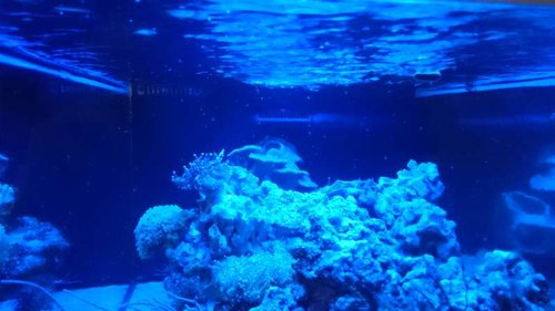 3.JPG (37.24 KiB) Vist 3281 gange Rejeunger