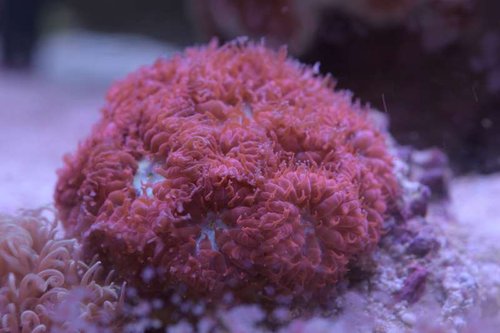 DSC_0162.JPG