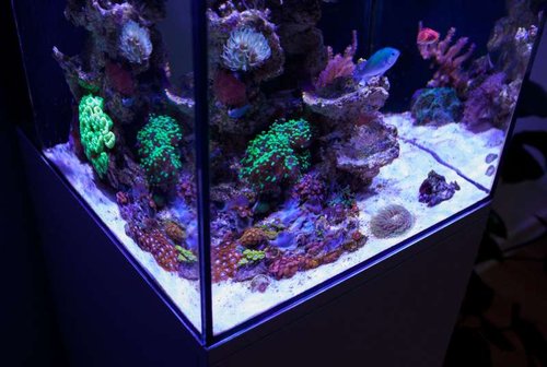 IMG_0127.jpg